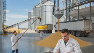 Miniatura do artigo de Gestão Agrícola: Amostragem de Grãos: Como Garantir Qualidade e Lucro da Safra