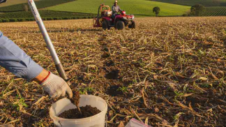Miniatura do artigo de Gestão Agrícola: Análise de Solo: O Guia Completo Para o Planejamento da Sua Safra