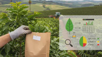 Miniatura do artigo de Gestão Agrícola: Análise Foliar: Diagnóstico Nutricional para Maior Produtividade