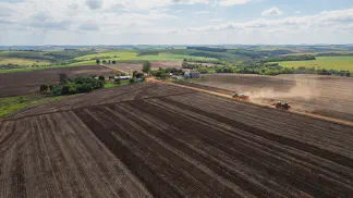 Miniatura do artigo de Gestão Agrícola: Análise de Solo: Guia de Amostragem para Lucrar Mais [2025]