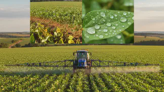 Miniatura do artigo de Gestão Agrícola: Aplicação de Defensivos: 5 Dicas para Reduzir Desperdício
