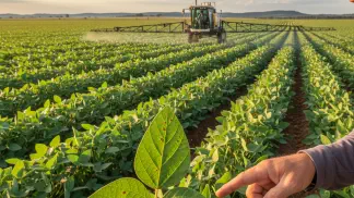 Miniatura do artigo de Gestão Agrícola: Aplicação de Fungicidas na Soja: Estratégias e Momento Certo