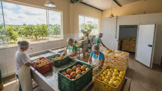 Miniatura do artigo de Gestão Agrícola: Aproveitamento de Frutas: Guia Prático para Lucrar [2025]