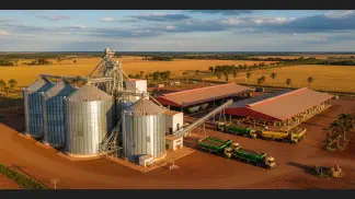 Miniatura do artigo de Gestão Agrícola: Armazenagem de Grãos na Fazenda: Um Guia Completo para a Melhor Escolha