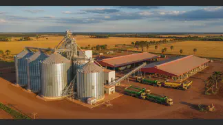 Miniatura do artigo de Gestão Agrícola: Armazenagem de Grãos na Fazenda: Um Guia Completo para a Melhor Escolha