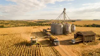 Miniatura do artigo de Gestão Agrícola: Armazenamento de Milho: Guia Definitivo para Lucrar [2025]