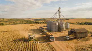 Miniatura do artigo de Gestão Agrícola: Armazenamento de Milho: Guia Definitivo para Lucrar [2025]