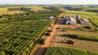 Miniatura do artigo de Gestão Agrícola: APL de Maracujá: Guia Definitivo para Lucrar Mais [2025]