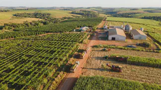 Miniatura do artigo de Gestão Agrícola: APL de Maracujá: Guia Definitivo para Lucrar Mais [2025]