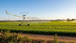 Miniatura do artigo de Gestão Agrícola: Arroz Irrigado vs Sequeiro: Qual Traz Mais Lucro? [2025]