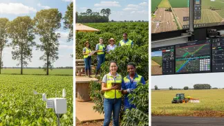 Miniatura do artigo de Gestão Agrícola: ASG no Agronegócio: Guia Prático para Implementar na Sua Fazenda