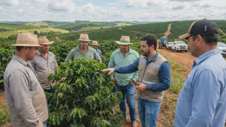 Miniatura do artigo de Gestão Agrícola: Assistência Técnica em Orgânicos: Guia Grátis e Pago [2025]