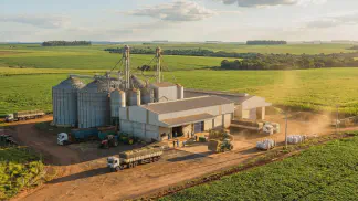 Miniatura do artigo de Gestão Agrícola: Maracujá: Associação ou Cooperativa? Guia Prático [2025]