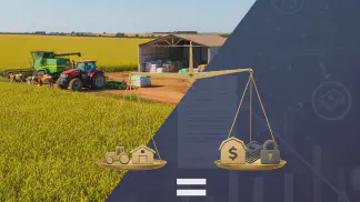 Miniatura do artigo de Gestão Financeira: Balanço Patrimonial na Fazenda: Análise e Saúde Financeira