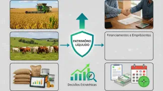 Miniatura do artigo de Crédito Rural: Balanço Patrimonial na Fazenda: O Guia Completo para o Produtor Rural