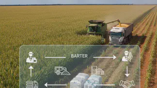 Miniatura do artigo de Gestão Agrícola: Barter de Milho: Guia Completo para Trocar sua Safra por Insumos