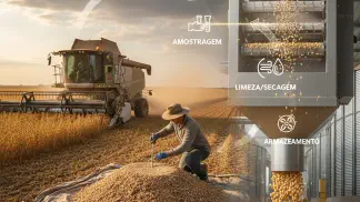 Miniatura do artigo de Gestão Agrícola: Beneficiamento de Grãos: Guia Completo com Etapas e Cuidados Essenciais