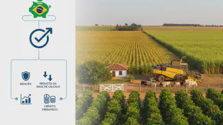 Miniatura do artigo de Gestão Financeira: Benefícios Fiscais no Agro: Guia Completo para Reduzir Impostos na Sua Fazenda