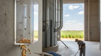 Miniatura do artigo de Mercado Agrícola: Besouro-Castanho: O Guia Completo para Eliminar essa Praga dos Grãos Armazenados