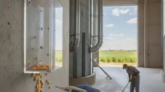 Miniatura do artigo de Mercado Agrícola: Besouro-Castanho: O Guia Completo para Eliminar essa Praga dos Grãos Armazenados