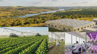 Miniatura do artigo de Gestão Agrícola: Biotecnologia na Agricultura: O Que É e Como Aplicar [2025]