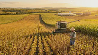 Miniatura do artigo de Gestão Agrícola: Biotecnologia no Trigo: Guia Essencial de Produtividade [2025]