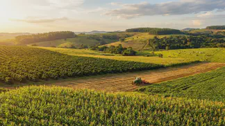 Miniatura do artigo de Gestão Agrícola: Boas Práticas Agropecuárias: O Que São e Como Aplicar [2025]