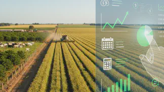 Miniatura do artigo de Gestão Financeira: BPO Financeiro no Agro: O Guia para Terceirizar a Gestão da sua Fazenda