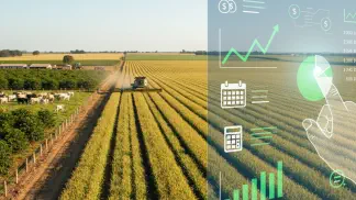 Miniatura do artigo de Gestão Financeira: BPO Financeiro no Agro: O Guia para Terceirizar a Gestão da sua Fazenda