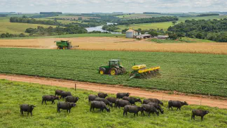 Miniatura do artigo de Gestão Agrícola: Criação de Bubalinos: Guia Definitivo para ter Lucro [2025]