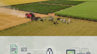 Miniatura do artigo de Gestão Agrícola: CCIR e Cafir: O Que São, Diferenças e Como Consultar