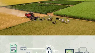 Miniatura do artigo de Gestão Agrícola: CCIR e Cafir: O Que São e Como Emitir [Guia 2025]