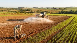 Miniatura do artigo de Gestão Agrícola: Calagem no Arroz: Guia Definitivo de Produtividade [2025]