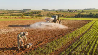 Miniatura do artigo de Gestão Agrícola: Calagem no Arroz: Guia Definitivo de Produtividade [2025]