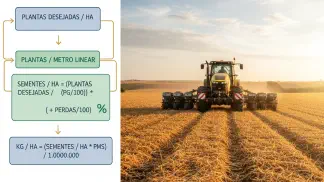 Miniatura do artigo de Manejo Integrado de Pragas: Cálculo de Semeadura da Soja: O Guia Passo a Passo para Acertar na Densidade