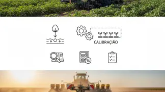 Miniatura do artigo de Planejamento Agrícola: Cálculo de Semeadura do Algodão: Como Acertar no Estande e Otimizar Custos