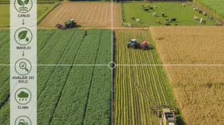 Miniatura do artigo de Gestão Agrícola: Calendário Agrícola: O Guia Completo para Planejar sua Safra com Precisão