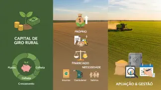 Miniatura do artigo de Gestão Financeira: Capital de Giro Rural: O Guia Completo para Financiar e Gerir sua Fazenda
