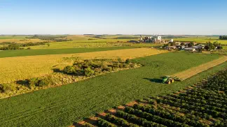 Miniatura do artigo de Gestão Agrícola: Caracterização Genética: Como Melhorar Gado e Lavoura [2025]