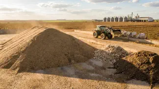 Miniatura do artigo de Gestão Agrícola: Caroço de Algodão: Composição Química e Lucro [Guia 2025]