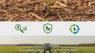 Miniatura do artigo de Manejo Integrado de Pragas: Cascudinho-da-soja: Identificação e Controle da Praga