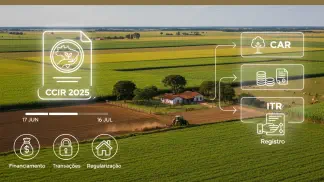 Miniatura do artigo de Crédito Rural: CCIR 2025: O Guia Completo para Manter seu Imóvel Rural em Dia