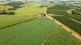 Miniatura do artigo de Gestão Agrícola: Cereja e Damasco no Brasil: Guia de Clima e Cultivo [2025]