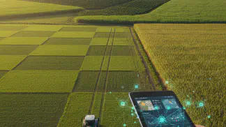 Miniatura do artigo de Agricultura de Precisão: Ciência de Dados no Campo: Decisões Inteligentes e Maior Lucro