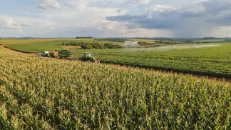 Miniatura do artigo de Gestão Agrícola: Clima e Produção de Milho: Guia para Evitar Perdas [2025]