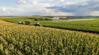 Miniatura do artigo de Gestão Agrícola: Clima e Produção de Milho: Guia para Evitar Perdas [2025]