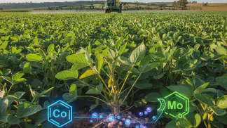Miniatura do artigo de Gestão Agrícola: Cobalto e Molibdênio na Soja: Como Aumentar a Produtividade da sua Lavoura