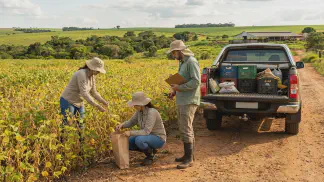 Miniatura do artigo de Gestão Agrícola: Coleta de Germoplasma: Guia Completo de Preservação [2025]