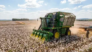 Miniatura do artigo de Gestão Agrícola: 5 Dicas de Colheita do Algodão para o Ponto Ideal [2025]