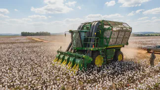 Miniatura do artigo de Gestão Agrícola: 5 Dicas de Colheita do Algodão para o Ponto Ideal [2025]